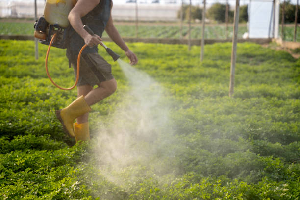 Best Affordable Exterminators  in Tennille, GA