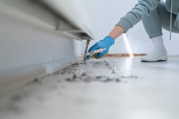 Best Pest Prevention Services  in Tennille, GA